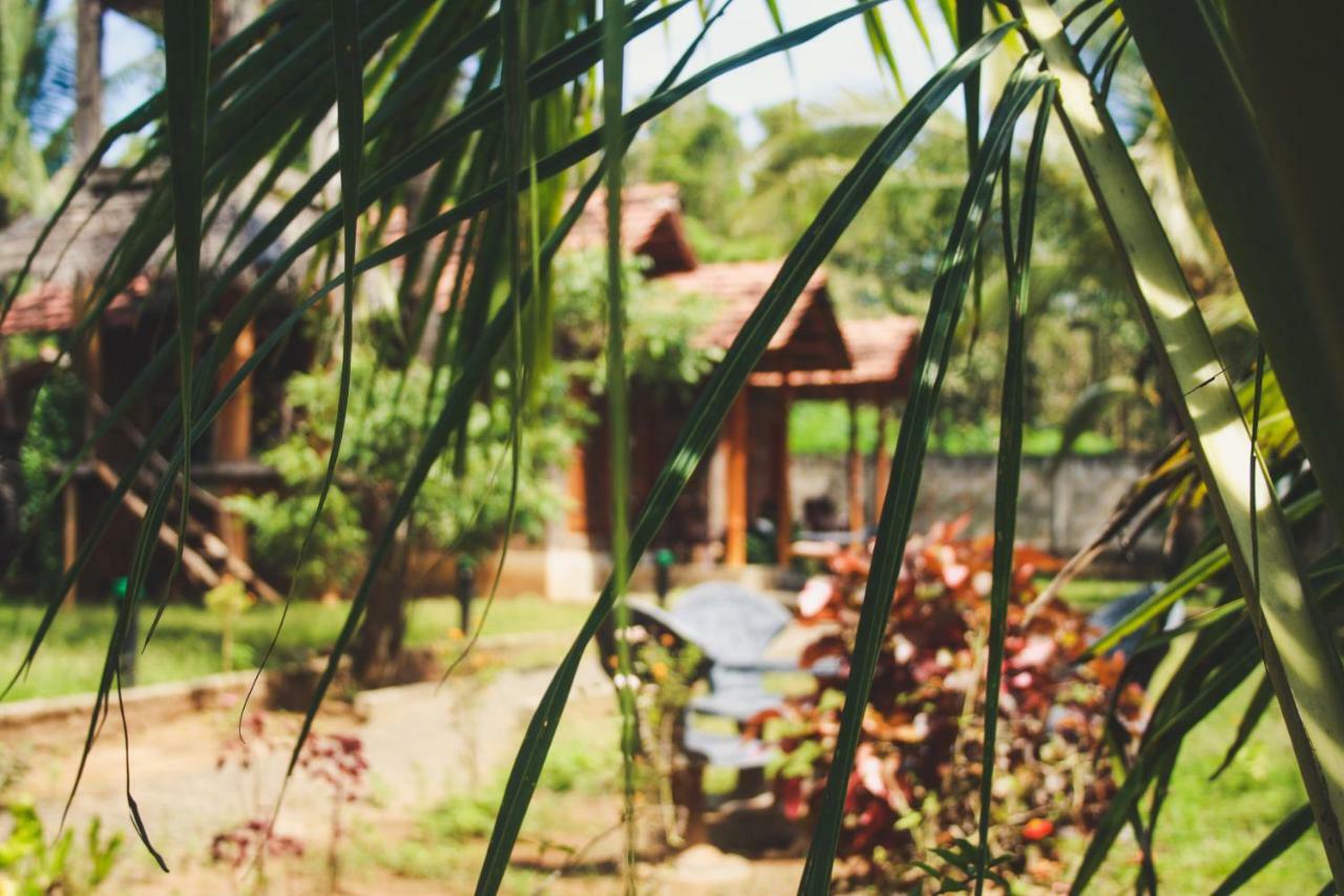 Clay House Hotel Udawalawe Exterior foto